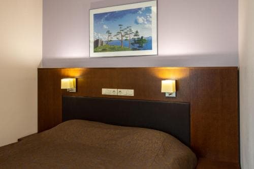 Viiking Spa Hotel