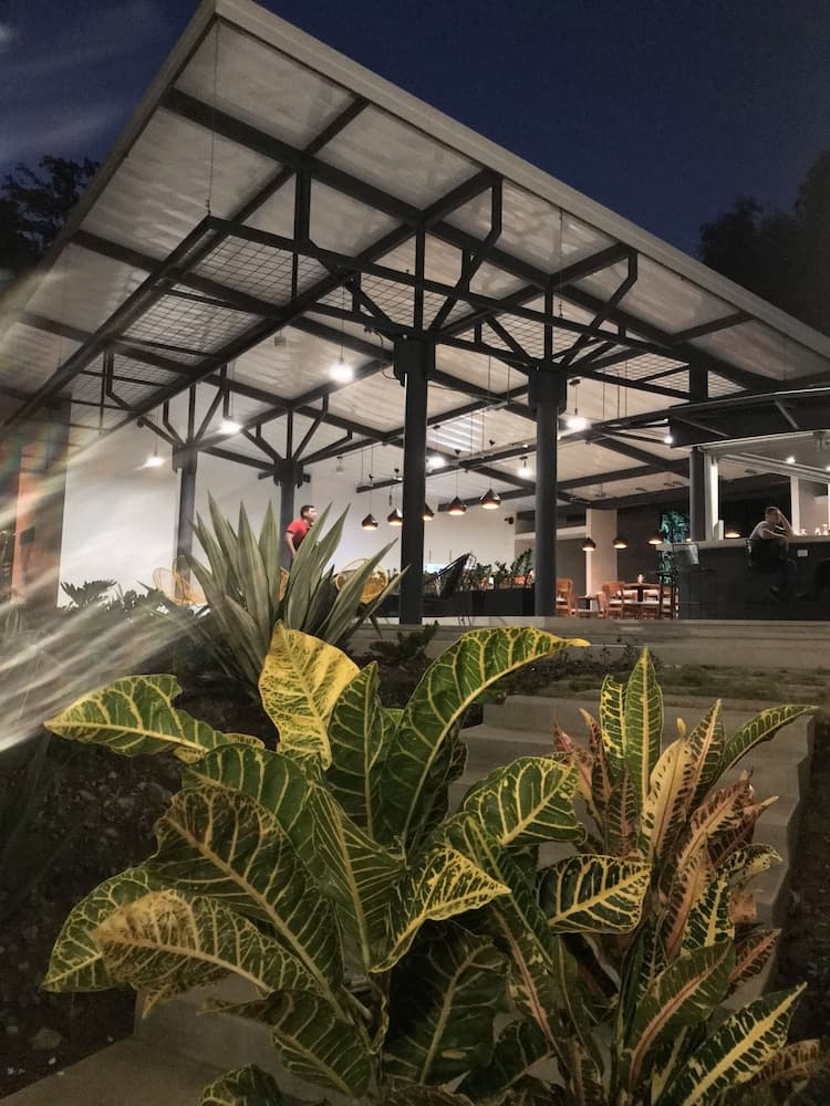 A serene evening at an open-air dining area illuminated by warm lights, featuring vibrant tropical plants in the foreground, ideal for travelers seeking a cozy outdoor dining experience.