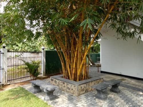 Wijaya Cottage
