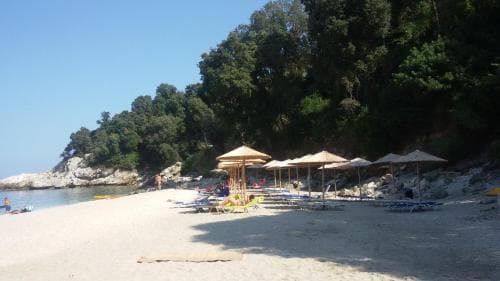 Vergopoulos Olive Yard