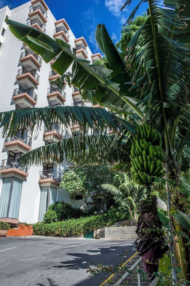 Dorisol Mimosa Studio Hotel