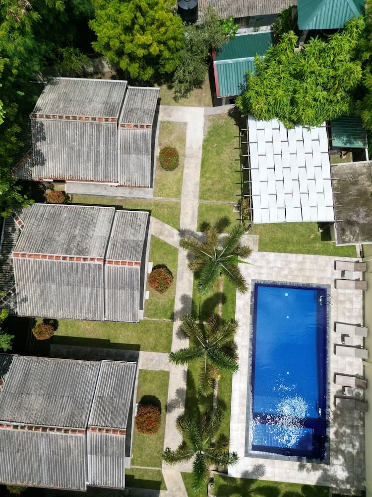 Jungle Paradise