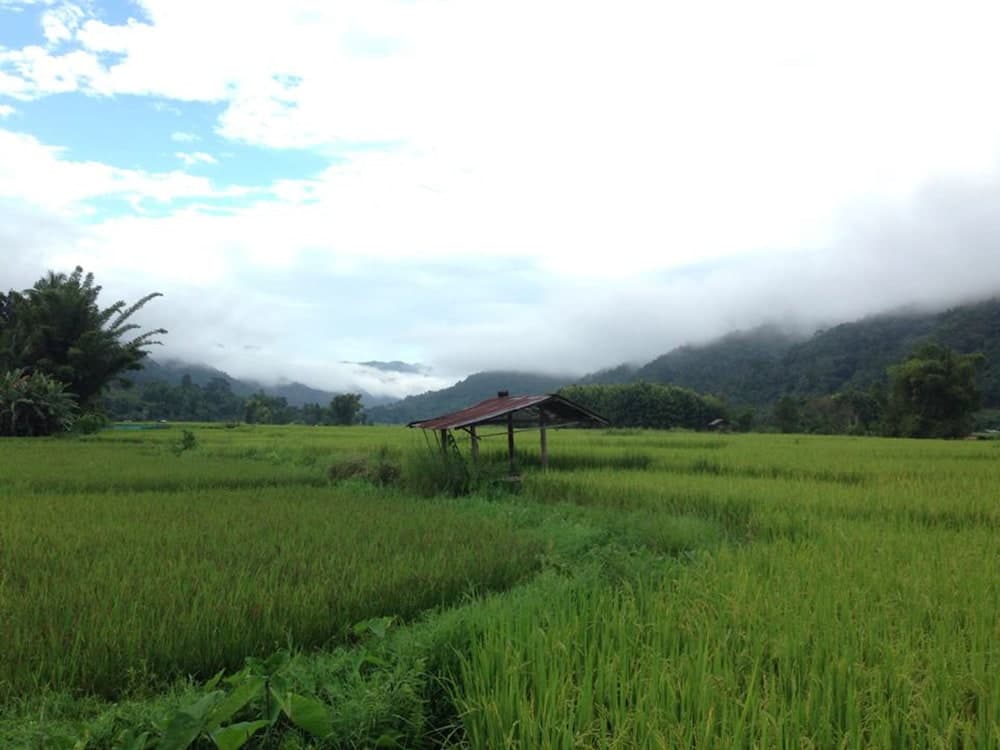 Bo klua View Resort