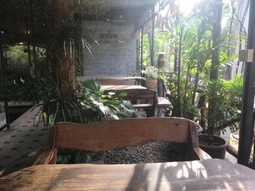A serene outdoor café with rustic wooden furniture surrounded by lush greenery offers a tranquil spot for travelers seeking relaxation and nature-inspired ambiance.