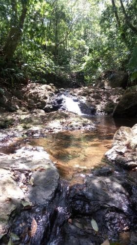 Paraiso Carlisa