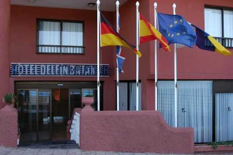 Delfin Bajamar