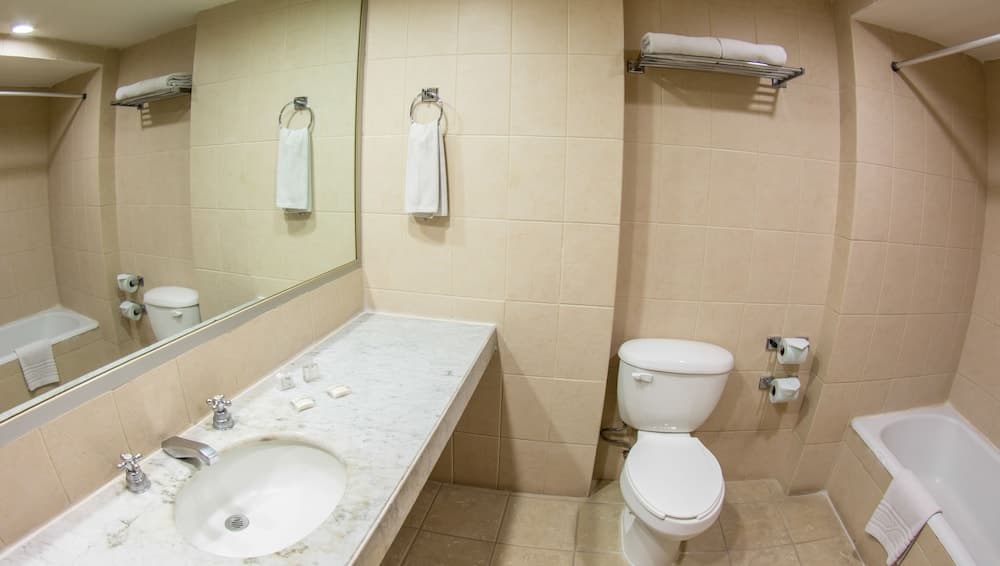 Hotel Fenix