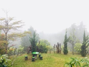 Sinder Hill Resort