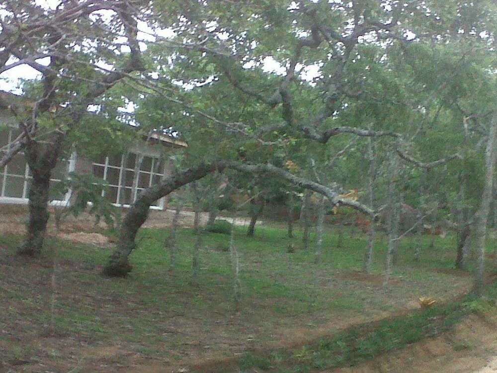 Cheltenham Park