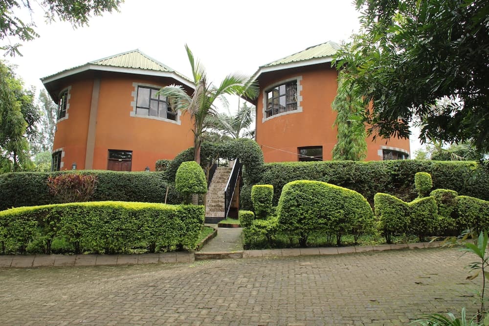 Sheba Lodge