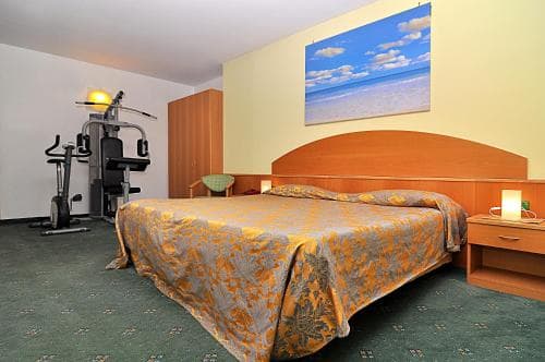Ascot Lodging