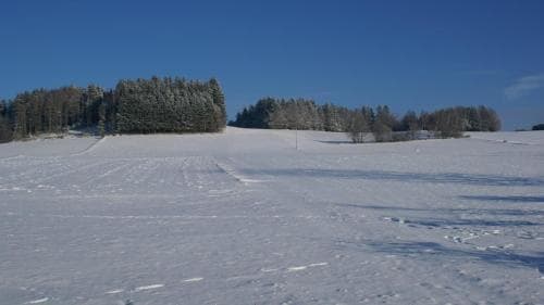 Ferienhof Naderhirn