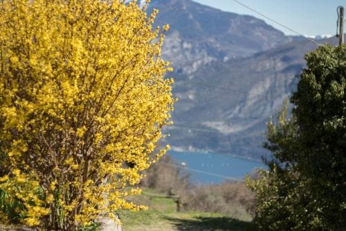 Bed & Breakfast Posta Pregasina