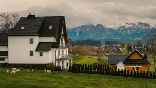 A serene countryside scene features a modern farmhouse surrounded by grazing cows, set against a backdrop of lush green fields and snow-capped mountains, ideal for travelers seeking a peaceful rural retreat.