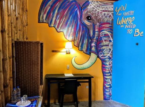 CoCo Bongo Hostel
