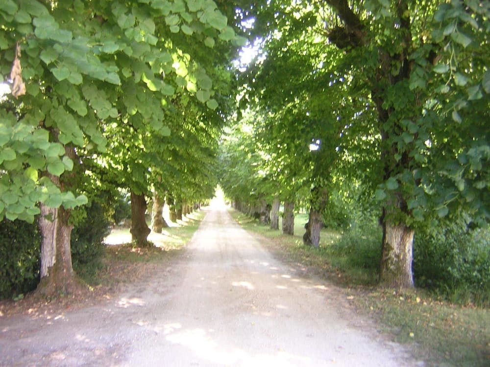 Les Longchamps