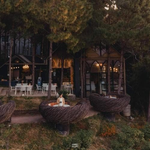 A serene outdoor café nestled among tall trees features cozy nest-like seating under warm lighting, ideal for travelers seeking a tranquil dining experience in nature.