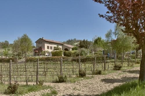 A serene countryside scene features a charming villa surrounded by lush vineyards under a clear blue sky, ideal for travelers seeking a tranquil agritourism experience.
