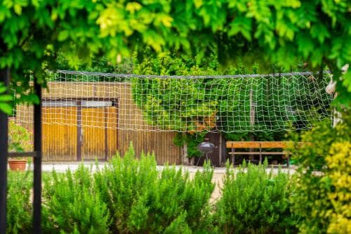 A serene backyard scene framed by lush greenery, featuring a volleyball net, wooden fence, and garden bench, ideal for relaxing outdoor activities.