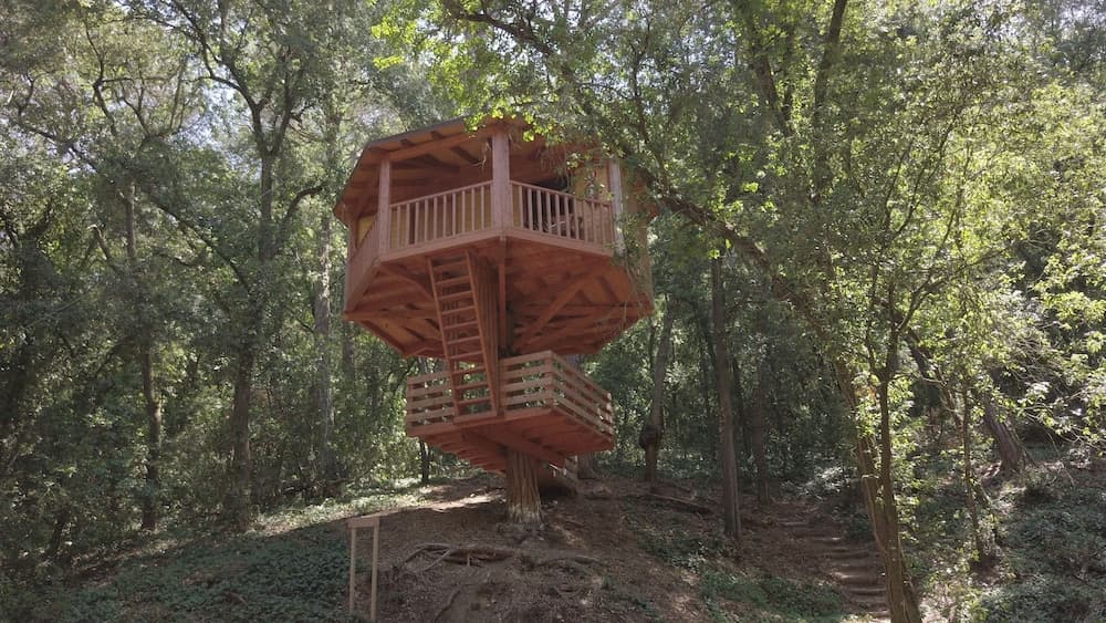 Cabanes Dosrius