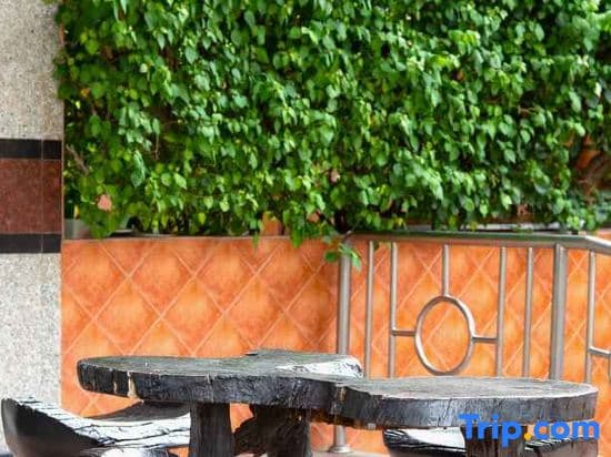 A cozy outdoor café corner features rustic wooden tables and chairs set against a vibrant green leafy backdrop and terracotta-tiled wall, ideal for travelers seeking a serene spot to relax and enjoy a meal.