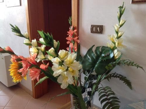 Hotel Castello