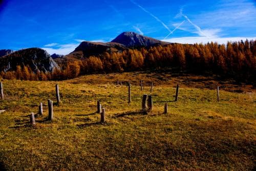 A serene mountain meadow with golden autumn foliage, wooden posts scattered across the field, and a majestic peak in the background offers a tranquil hiking destination under a clear blue sky.