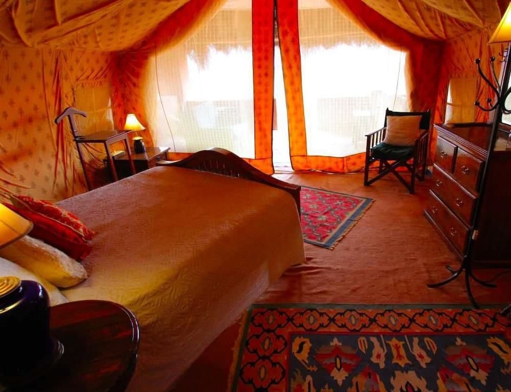 Reggie s Camel Camps