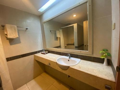 Arnes Central Hotel
