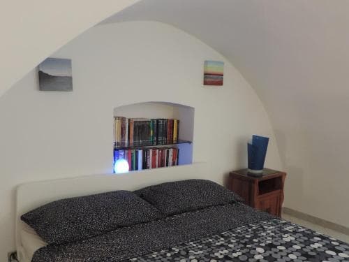 A cozy bedroom with an arched ceiling features a neatly made bed, a built-in bookshelf filled with colorful books, and framed artwork, creating a serene and inviting atmosphere ideal for travelers seeking a peaceful retreat.