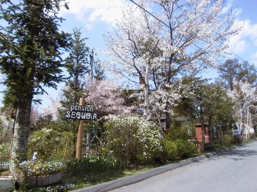 Pension Sequoia