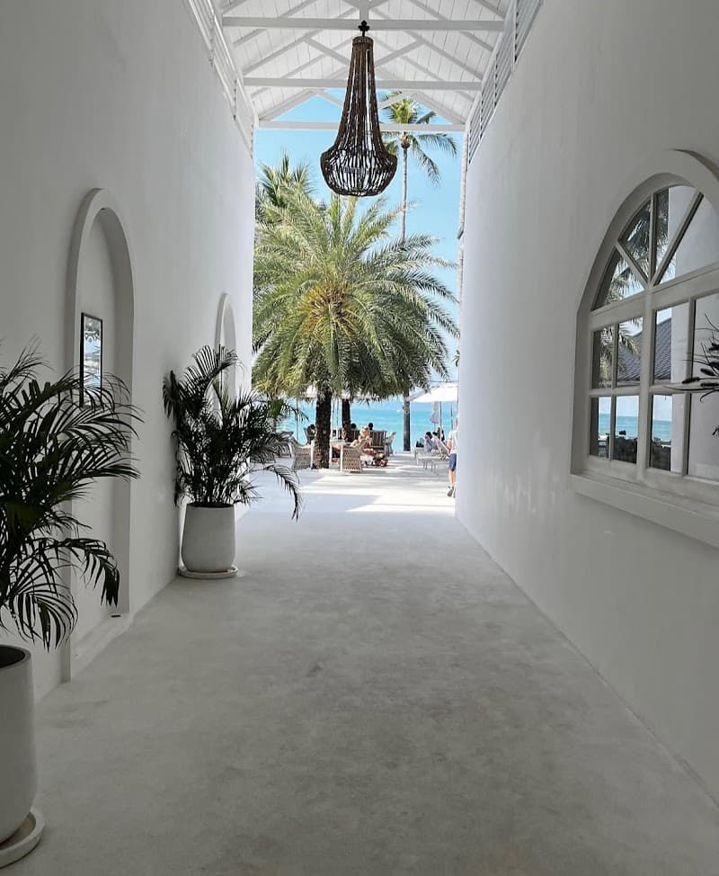 A serene walkway at Tembo Beach Club & Resort in Thailand leads to a picturesque beach view framed by palm trees, perfect for travelers seeking a tranquil tropical getaway.