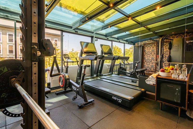 A serene hotel gym in Sevilla's historic center features modern treadmills, weight equipment, and a glass roof offering natural light and city views, ideal for travelers seeking fitness amidst cultural exploration.