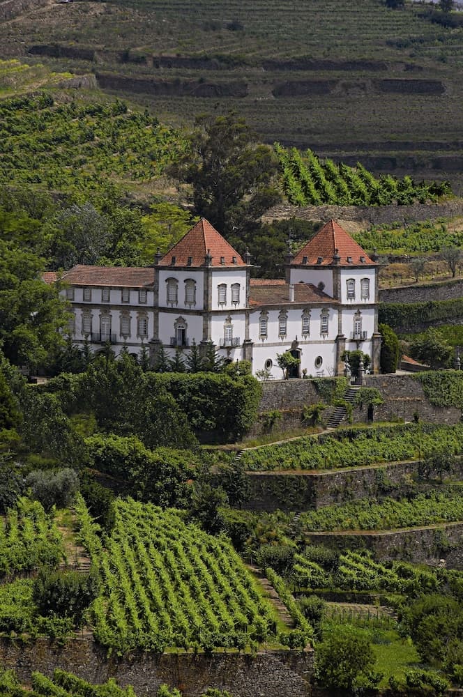 A serene white mansion with terracotta roofs nestles amidst lush green vineyards on rolling hills, ideal for travelers seeking picturesque countryside retreats.