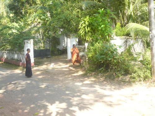 A serene rural pathway lined with lush greenery and white walls captures a tranquil moment as two individuals walk through, ideal for travelers seeking peaceful cultural experiences.