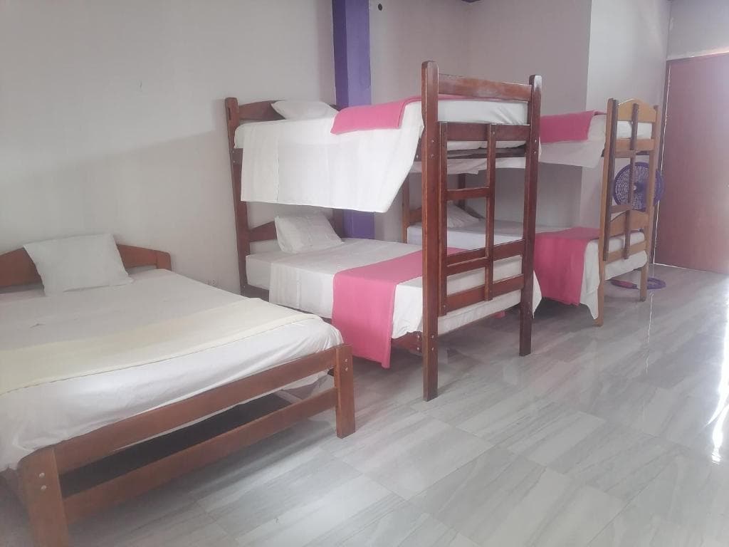 Ayahuasca Hostel