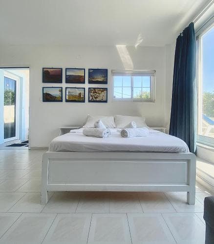 Blue Dolphin Studios & Apartment