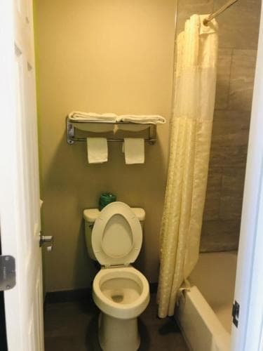 Flamingo Beach Inn