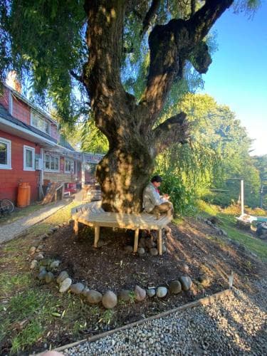 Hostel Vermont Backpackers