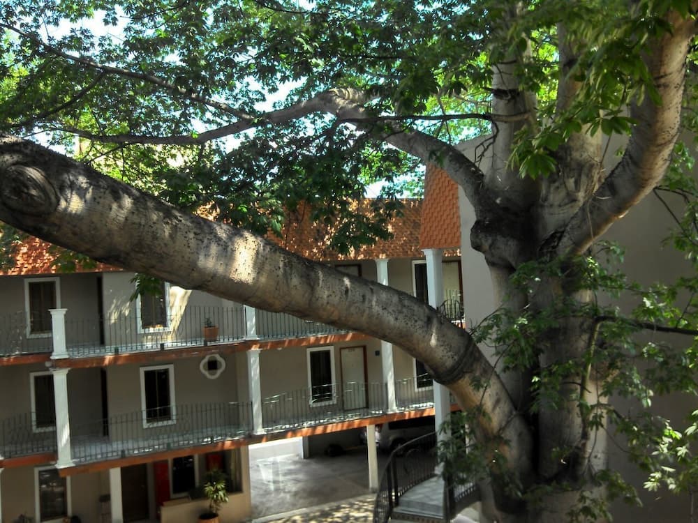 A serene courtyard hotel scene features lush greenery from a large tree overshadowing balconies and terracotta roofs, ideal for travelers seeking a tranquil urban retreat.