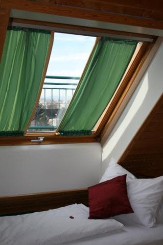 Hotel Asperner Löwe