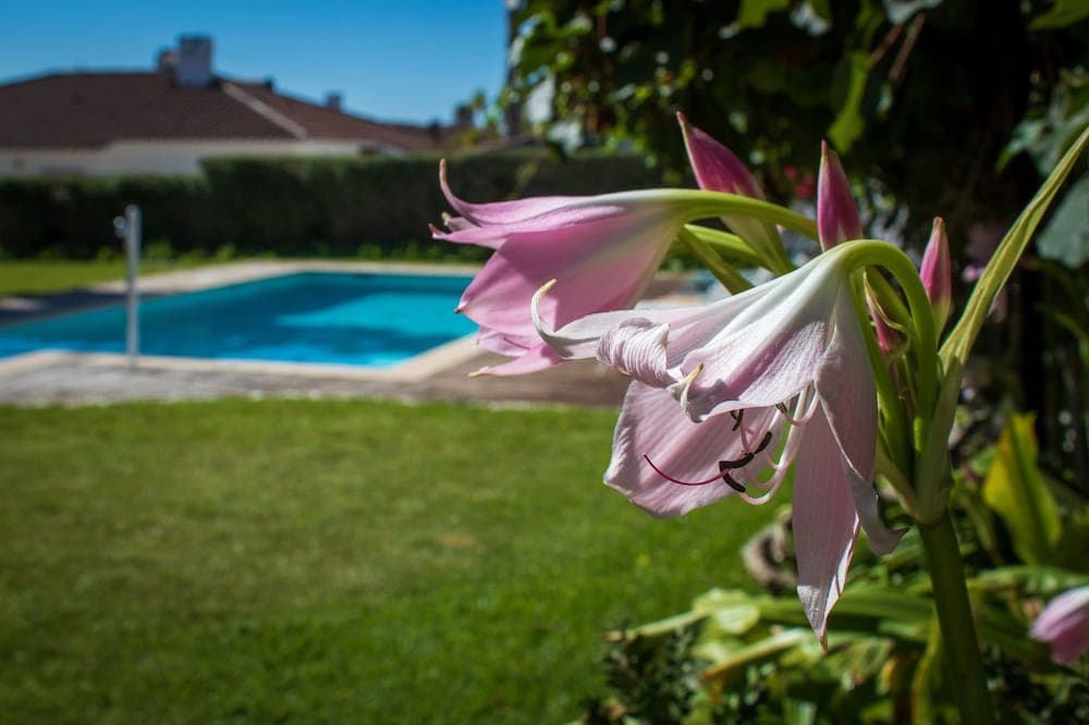 Limmo Garden
