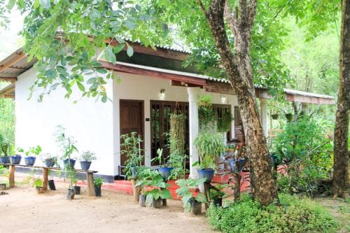 Chandi Homestay