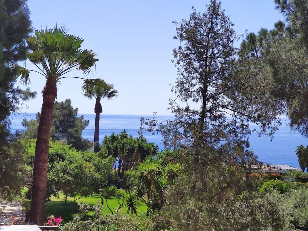 Villa delle Palme