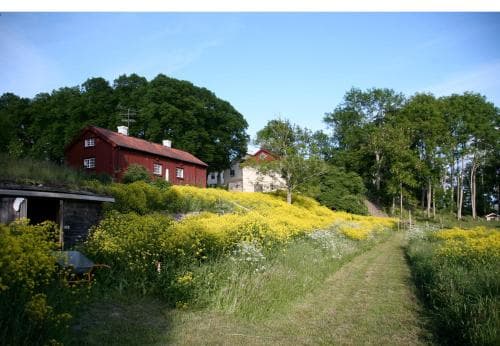 Biskops Arnö