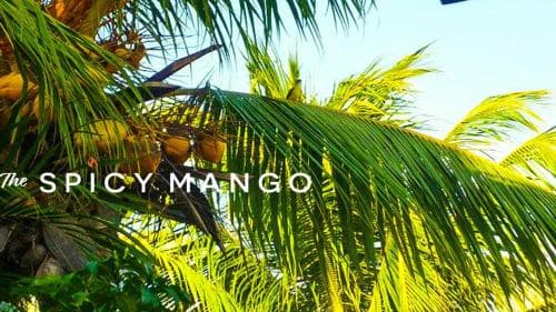 The Spicy Mango