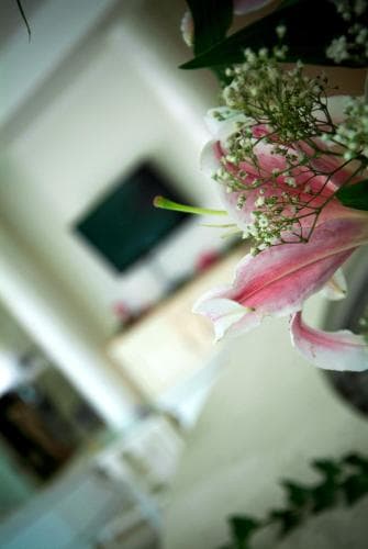Hotel Prater