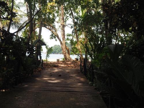 Cabinas Punta Uva