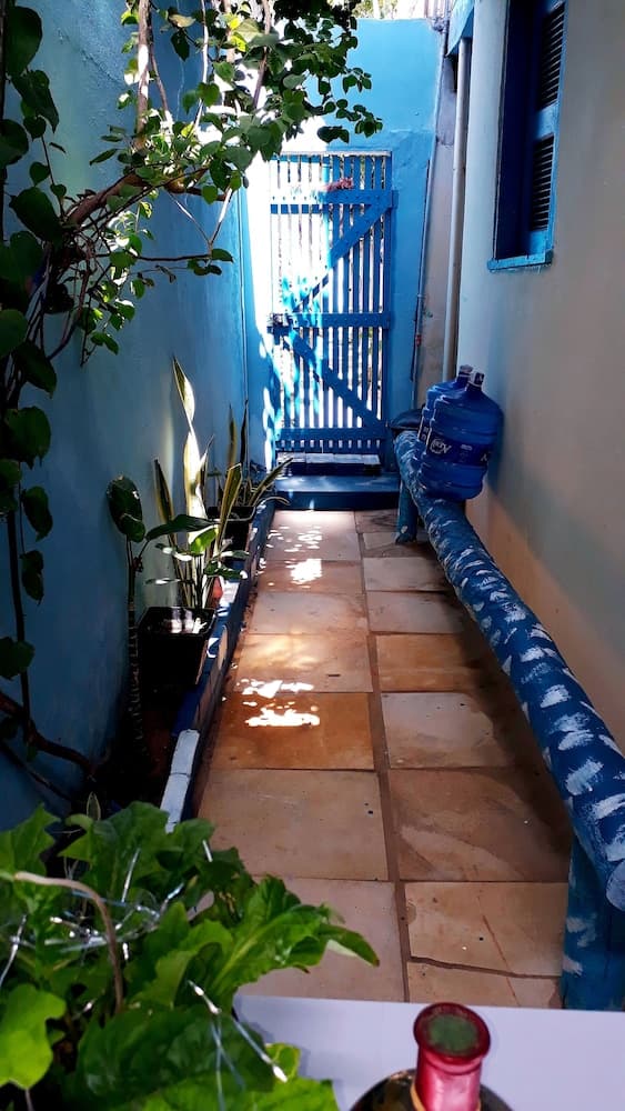 A serene alleyway with vibrant blue walls, lush greenery, and a rustic stone path invites travelers to explore its tranquil charm, perfect for a peaceful stroll or photography session.
