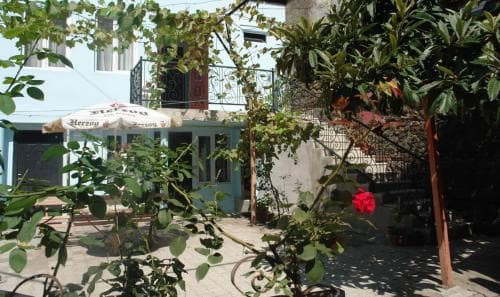Twiggy Hostel